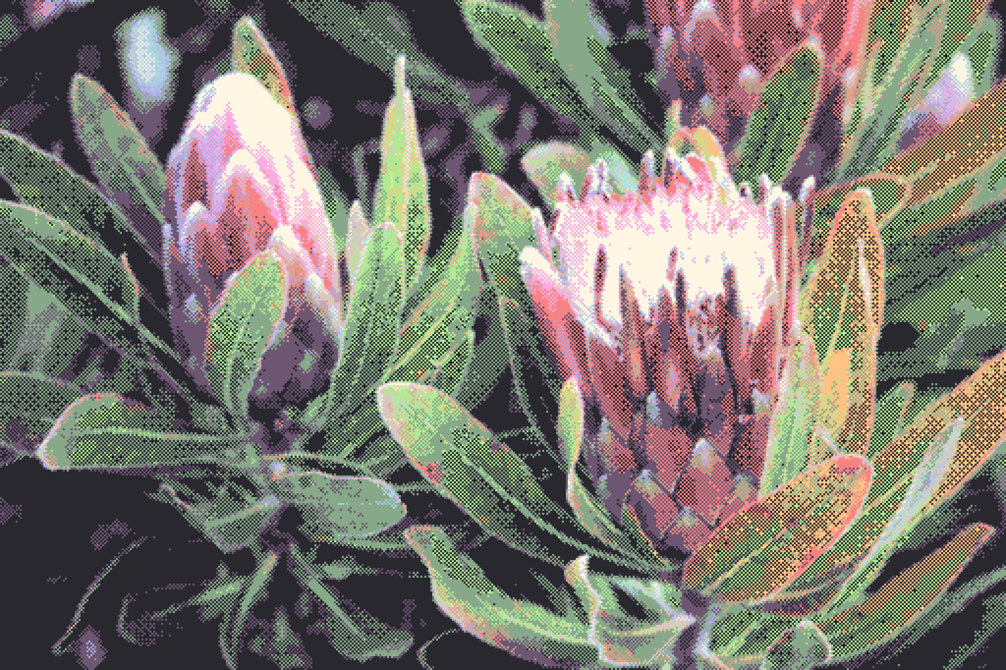 Dithered Bloom