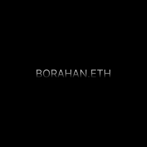 borahan.eth Profile Photo