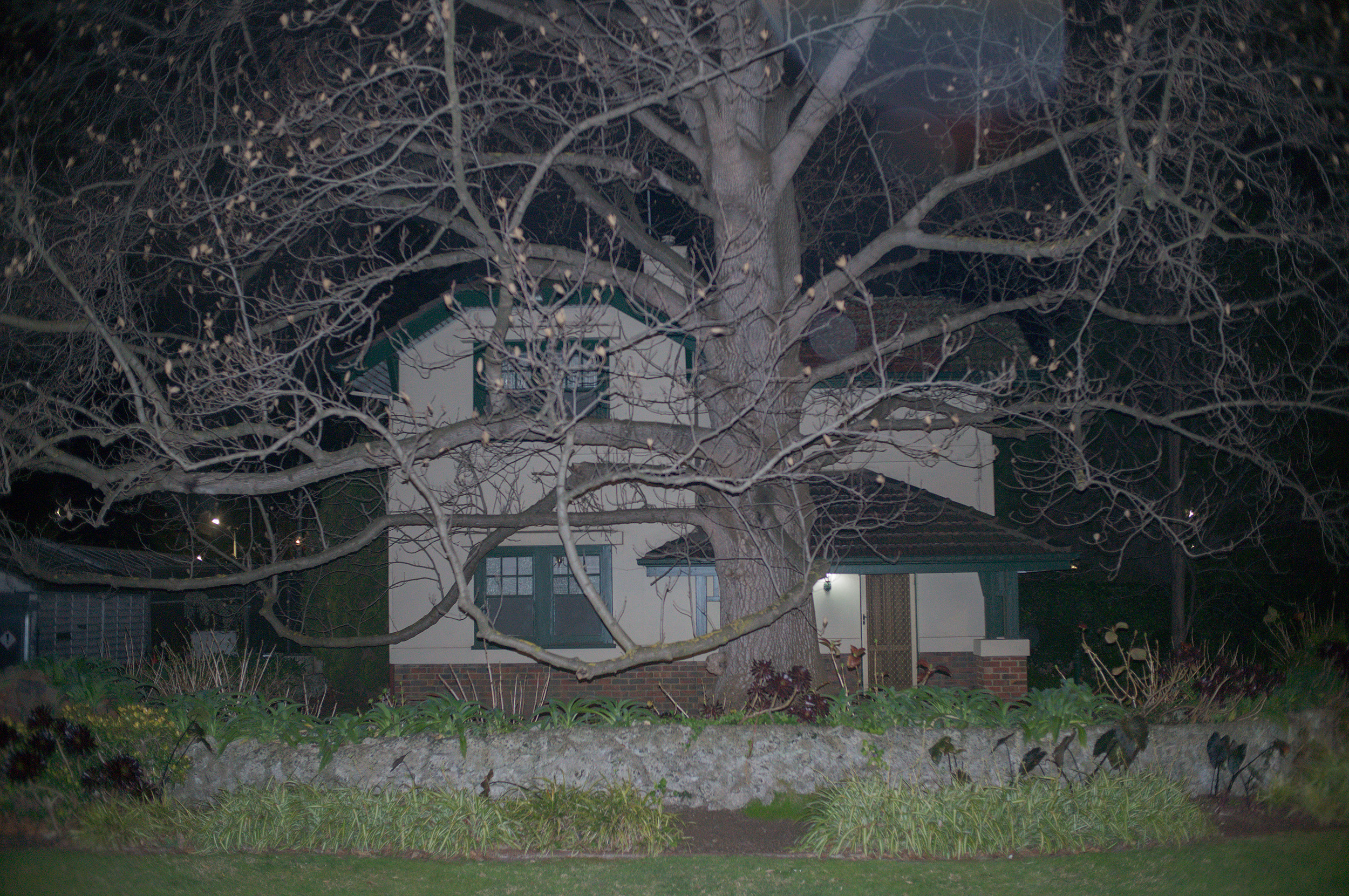 House and Tree Picture