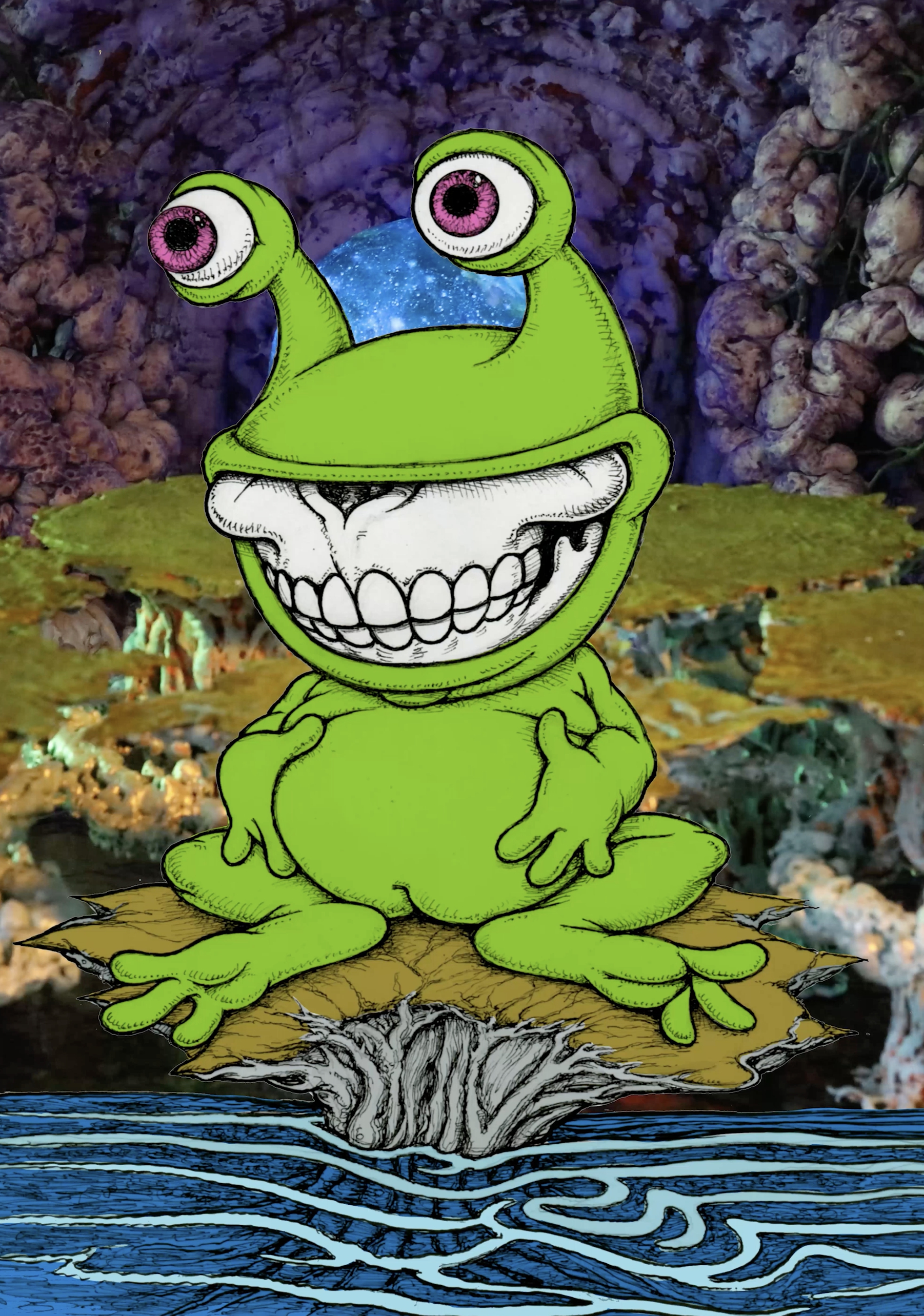 Jeremiah the Frog Grin 2D