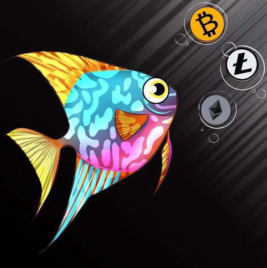 discusfish.eth Profile Photo