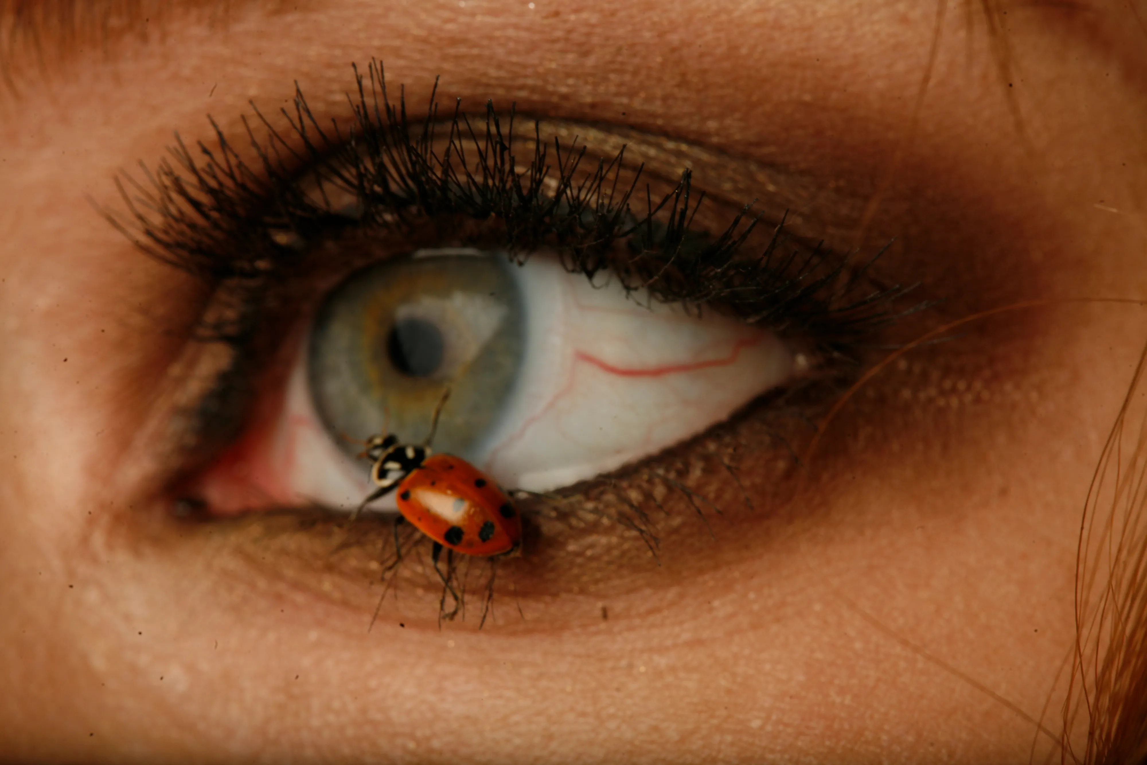 118a - Edward Zipco - "Ladyflux"