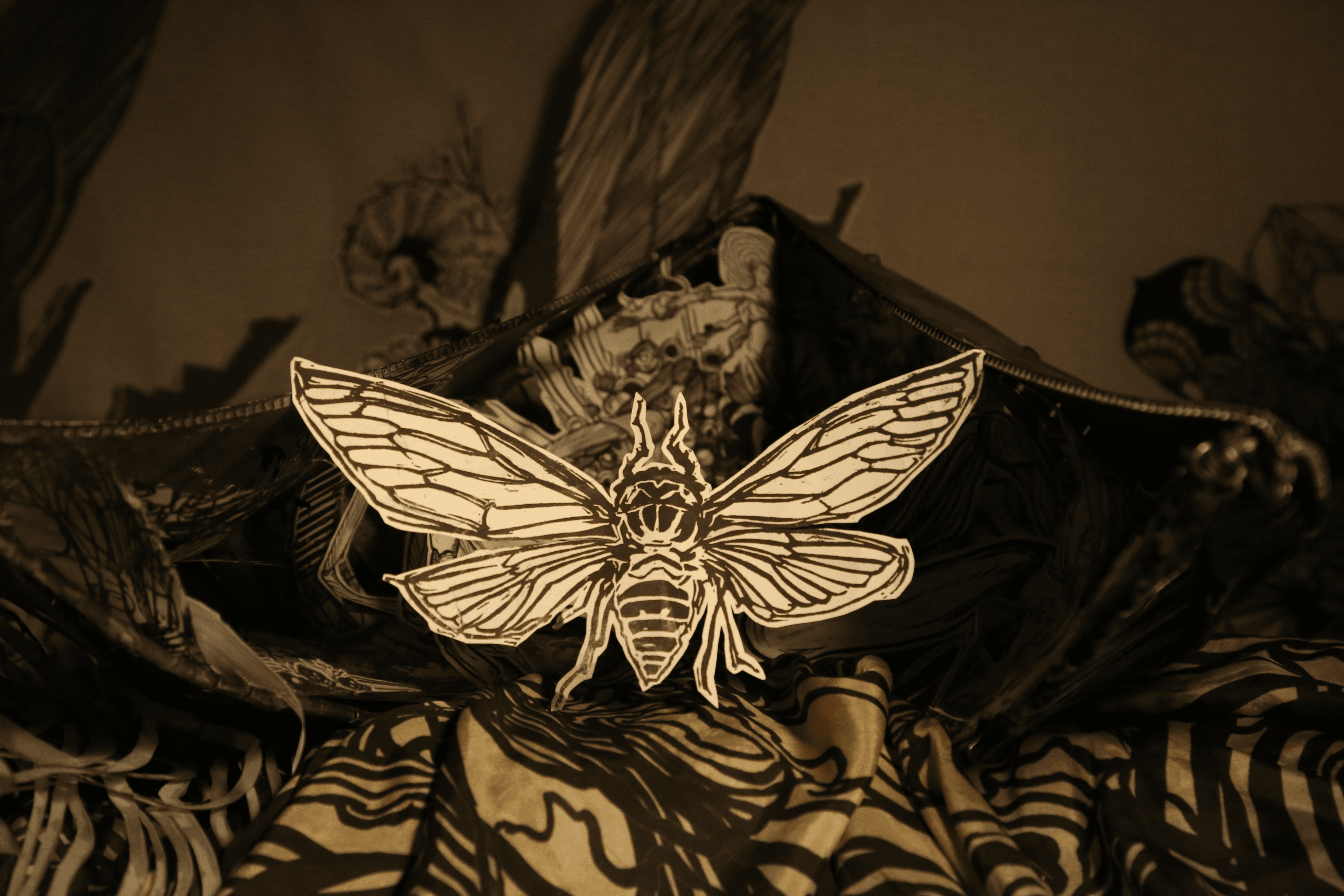 Cicada Emerges - Still Image (Edition of 7)