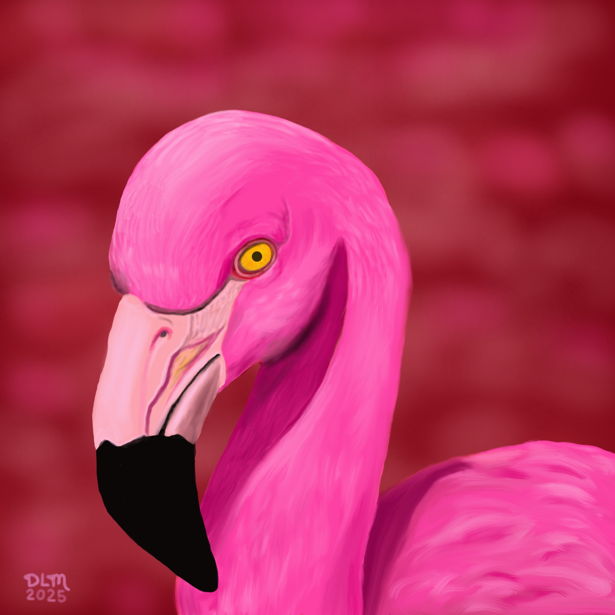 AGAPE Flamingo Love by David Moriarty