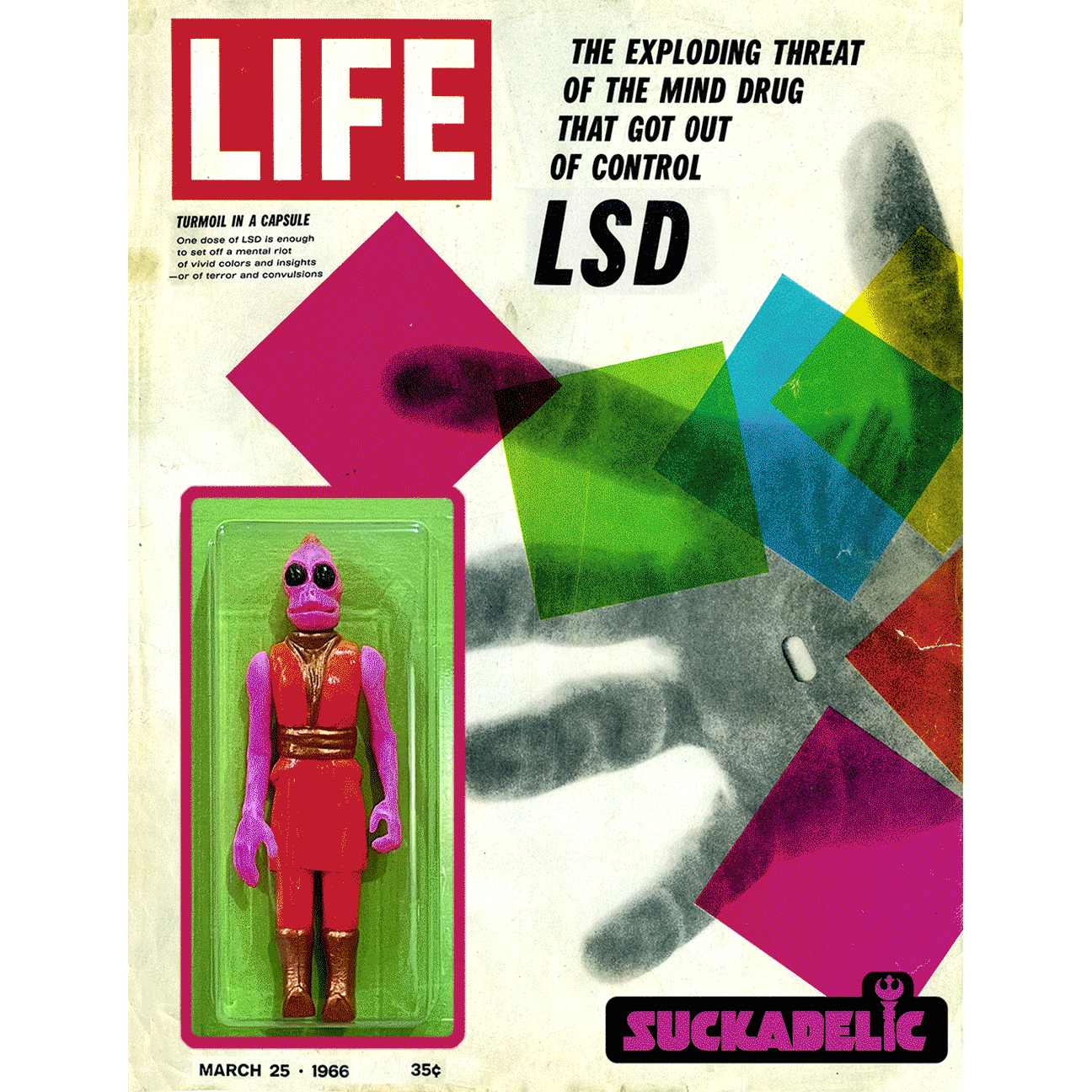 106a - SUCKADELIC - "TURMOIL in a CAPSULE" - 1 of 1