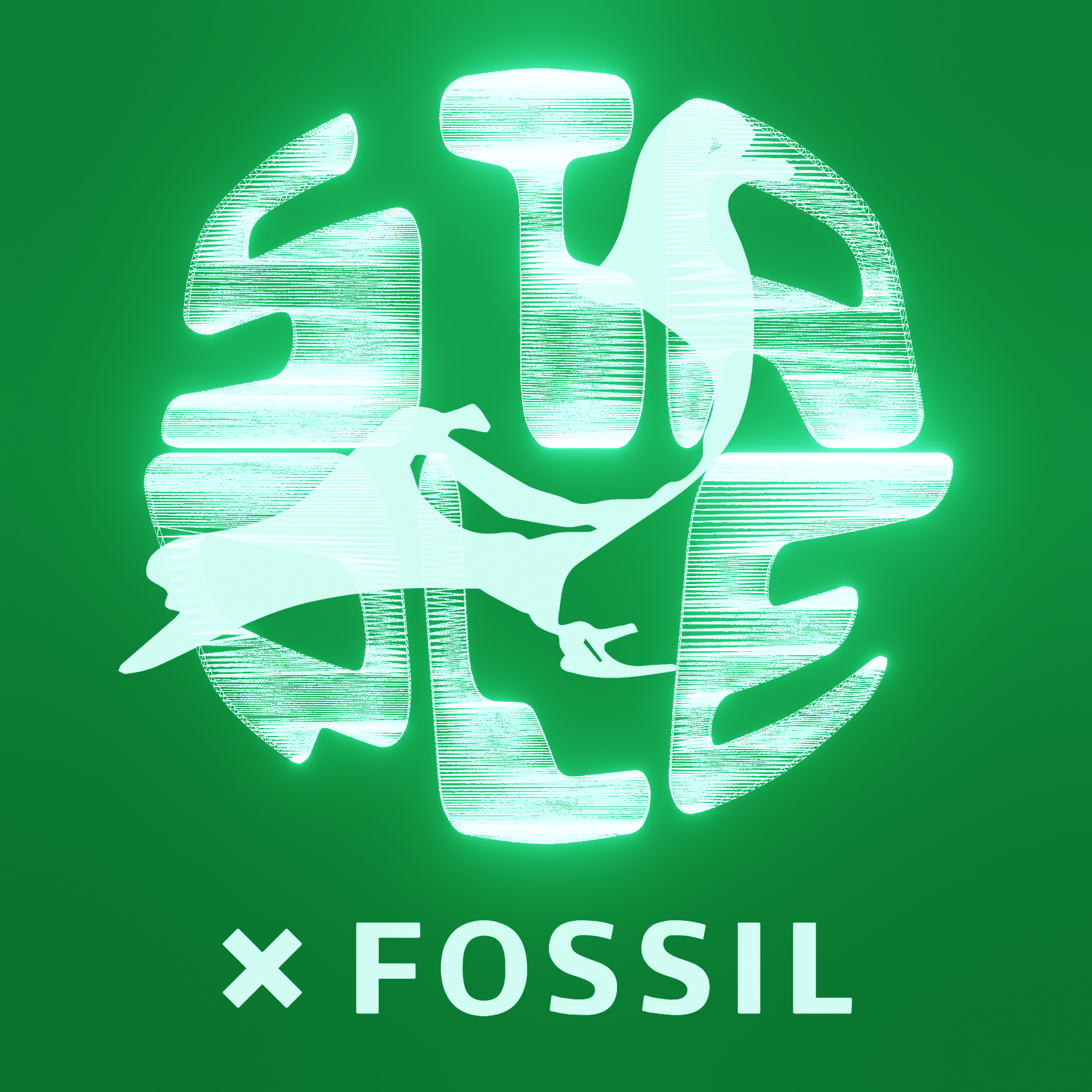 Collectors Club - Fossil