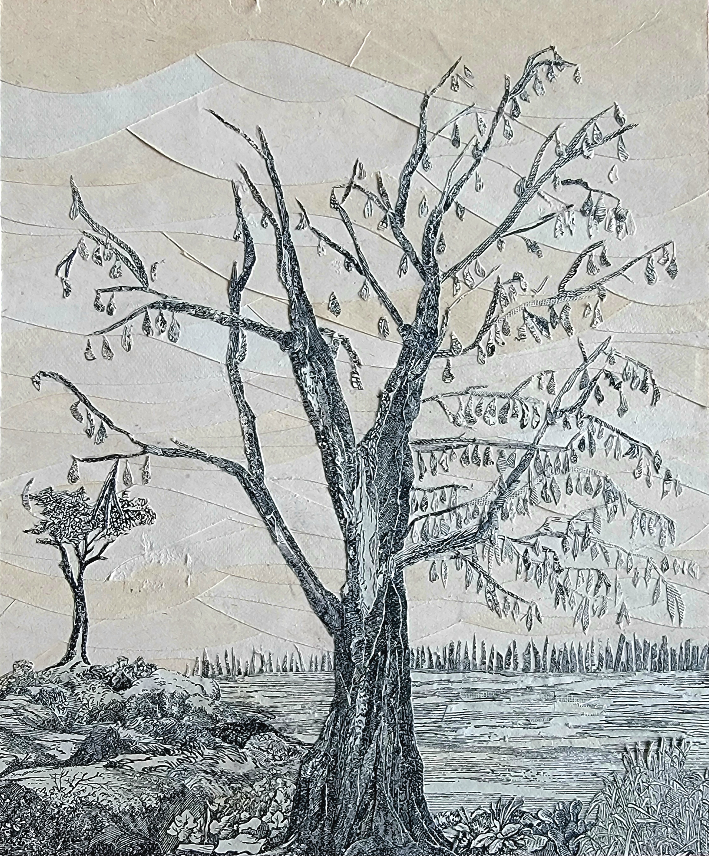 Learning from Nature